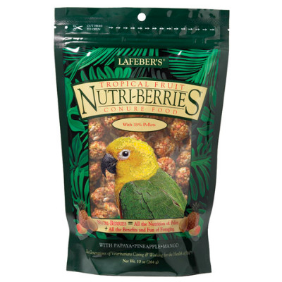 buy Lafebers Gourmet Tropical Fruit Nutri-Berries For Conures