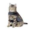 Cat thunder outlet vest