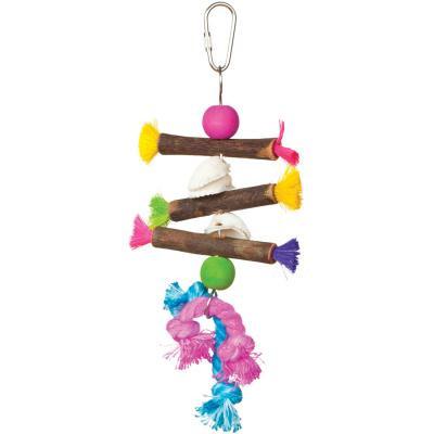 https://www.canadianpetconnection.ca/wp-content/uploads/2017/05/products-Prevue_Hendryx_Tropical_Teasers_Shells_and_Sticks_Bird_Cage_Toy.jpg