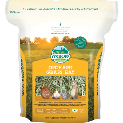 Buy OXBOW Orchard Grass Hay online in Canada