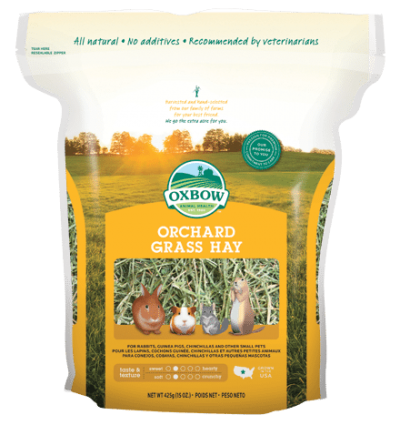 Buy OXBOW Orchard Grass Hay online in Canada