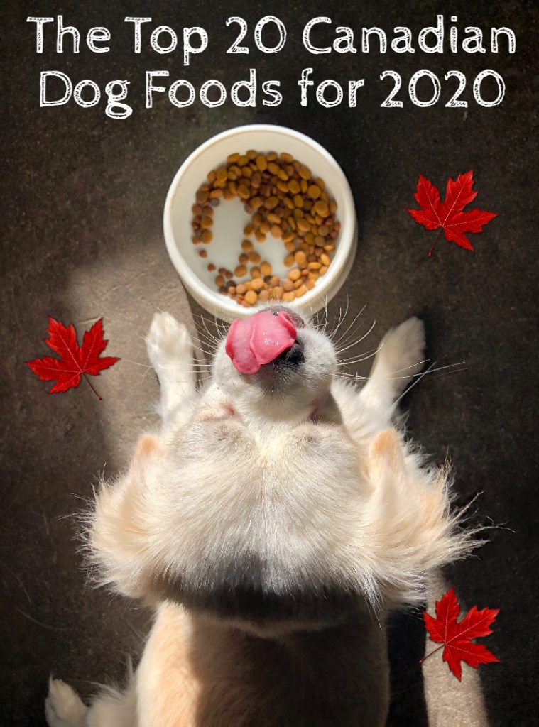 The Top 20 Dog Foods In Canada For 2020 Canadian Pet Connection