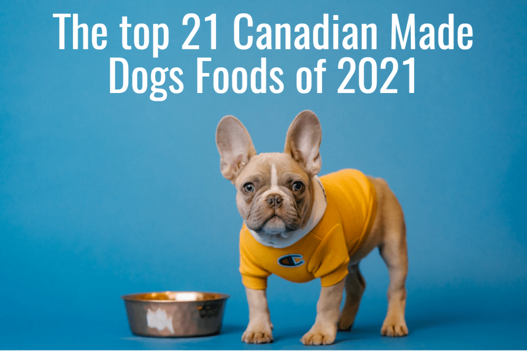 Find & buy the best pet products in Canada online Canadian Pet Connection