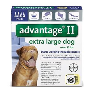 Advantage 2 for puppies best sale