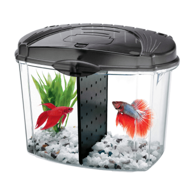 Aqueon betta fish tank hotsell