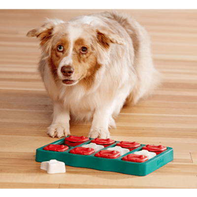 https://www.canadianpetconnection.ca/wp-content/uploads/2021/04/Outward-Hound-Nina-Ottosson-Brick-Dog-Puzzle-Toy-1-.png