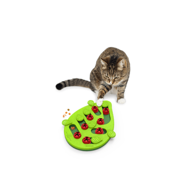 Outward Hound Nina Ottosson Buggin' Out Puzzle and Play Cat Toy