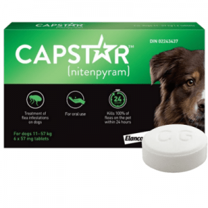 capstar for large dogs