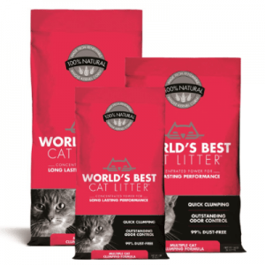 Best clumping litter for multiple cats hotsell