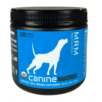 Recovery supplement hot sale for dogs