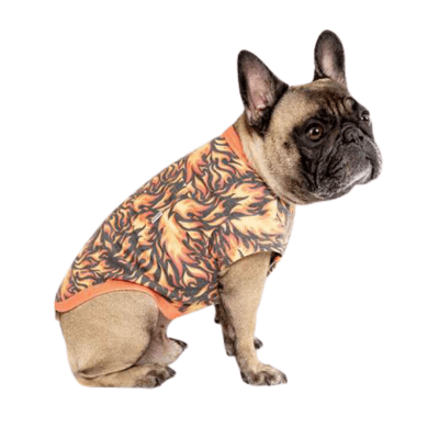 dog flame shirt