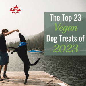 are there any vegan dog treats