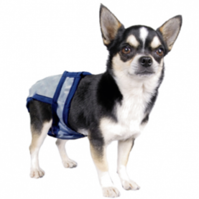 Dog diapers for chihuahua hotsell