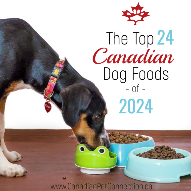 The Top 24 Dog Foods In Canada For 2024 Canadian Pet Connection   Top 24 Dry Dog Foods In Canada 2024 768x768 