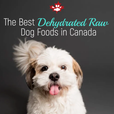 The Best Dehydrated Raw Dog Foods of 2024 Canadian Pet Connection